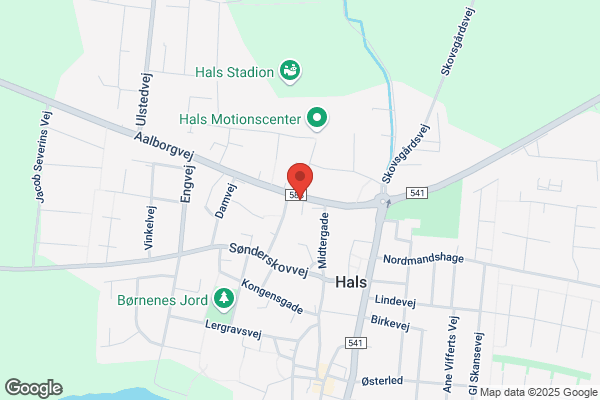 Salonen