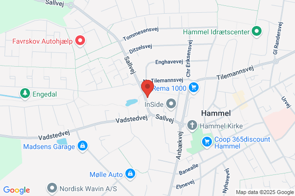 Hammel og Omegns Pensionistforening