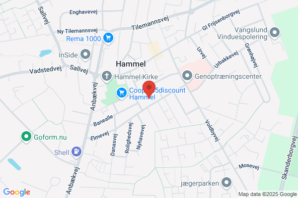 Ældre Sagen, Lokalkomiteen for Hammel