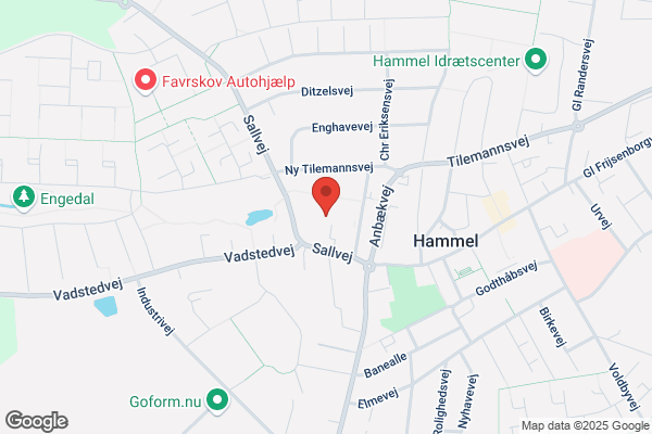 Hammel Kunstforening