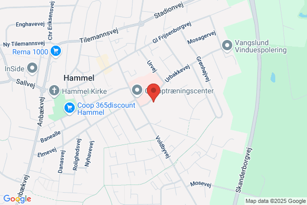 Bach, Hanne