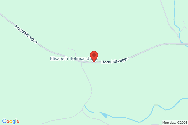 Holmsand, Ann