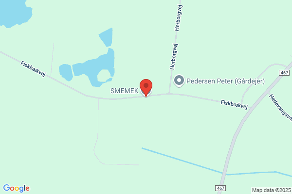 Sømandskredsen, Indenlandsk Sømandsmission