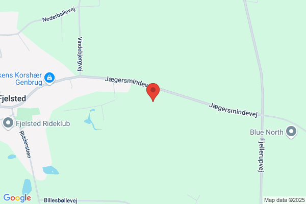 Højlund ApS, S.