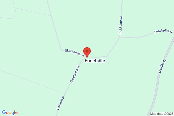 Det Radikale Venstre i Rudbjerg