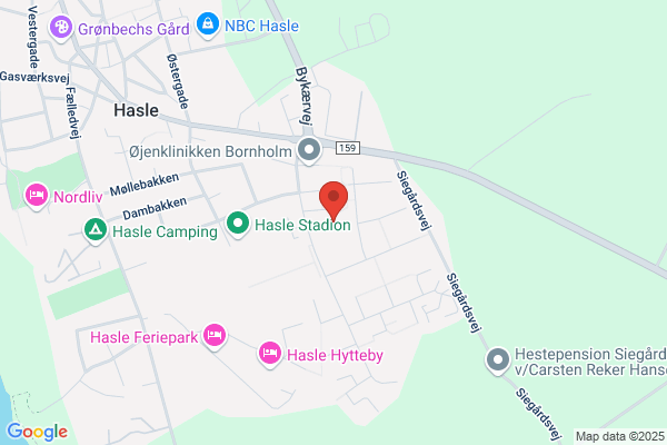 Dagplejeformidlingen I Hasle Kommune