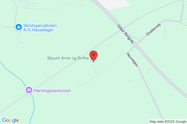 Skyum ApS, Arne