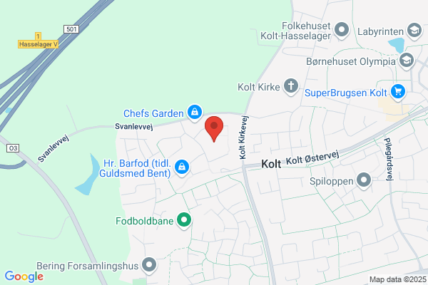 Esperantoforening - Århus