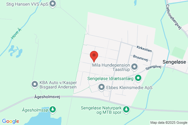 Ejby Bygningsservice