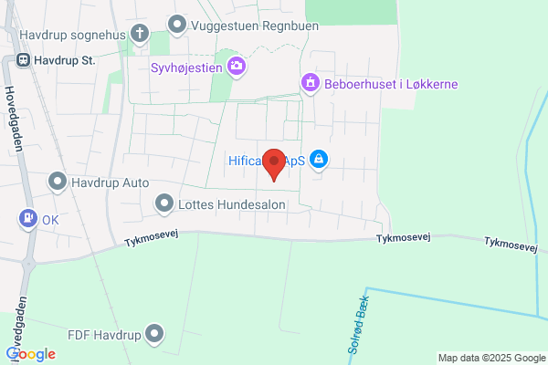 Regnskabs Service