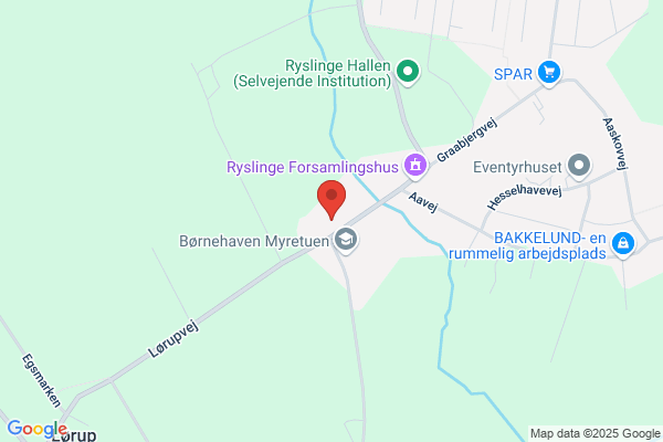 Ryslinge Rideklub Gyngehesten