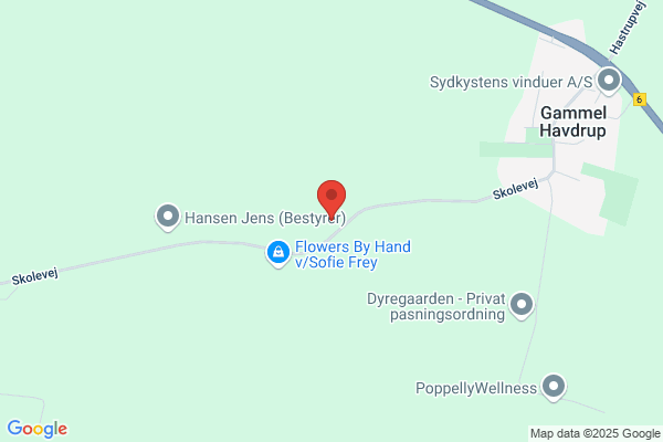 Henriksen, Ole