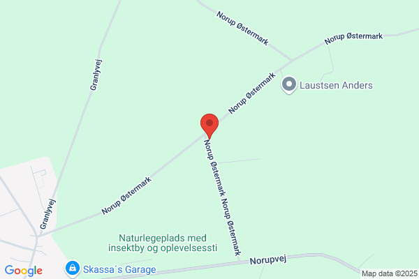 Andreasen Georg Juul
