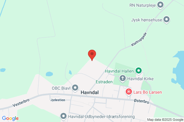 Borgerforeningen for Havndal og Omegn