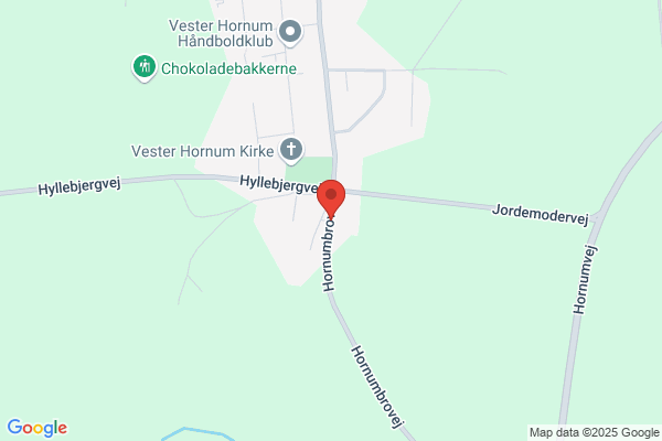 Schmidt, Hans
