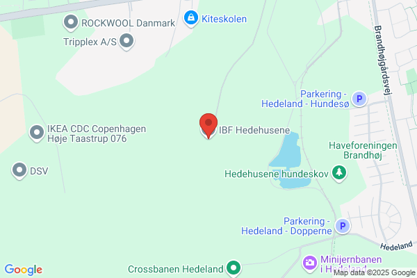 Ring's Belægning