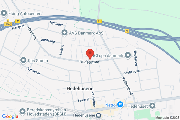 Solsikken