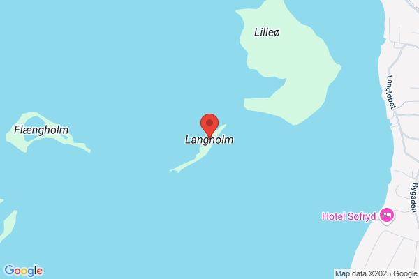 Langholm, Ole