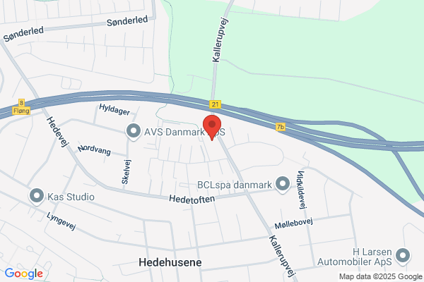 De Rejsende Terapeuter