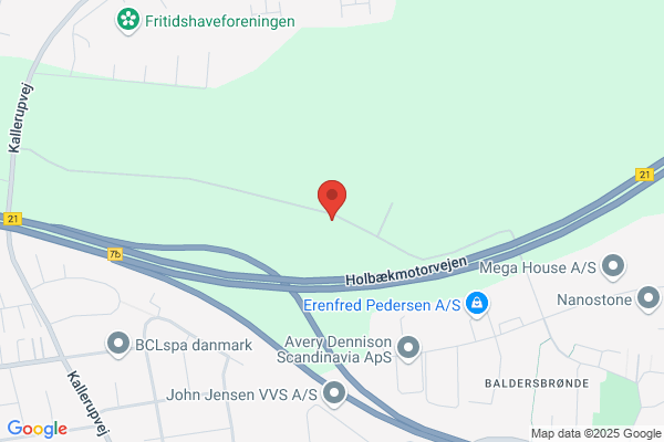 DDS, Balder Hedehusene Gruppe