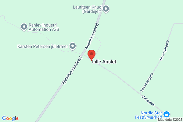 Anslet Dyreklinik