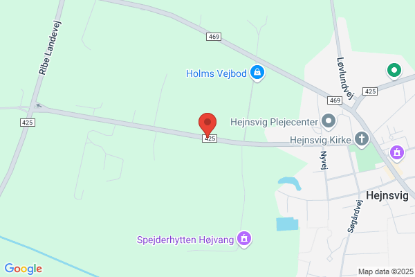Hejnsvig sogn