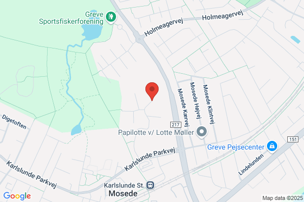 Foldager, Pelle
