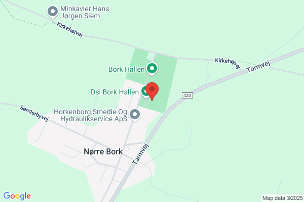 Bork Skoles Fritidsordning