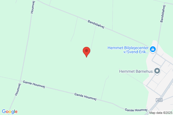 Indre Mission, Hemmet