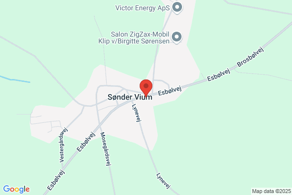 Sdr. Vium Friskoles foredragsrække