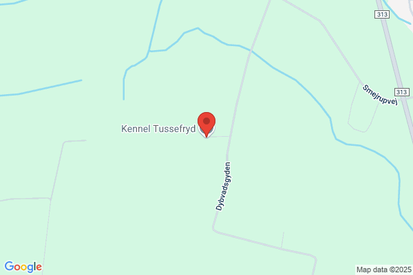 Tusindfryd, Kennel