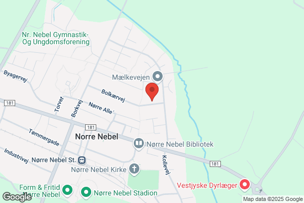 DDS Spejderne i Nr. Nebel, Sct. Nicolaus Gruppen