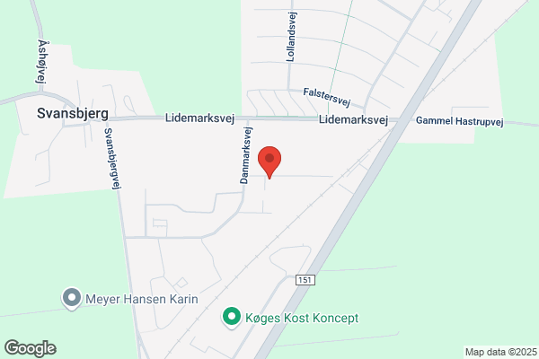 Arena-Gulvbelægning v/ Georg Jensen