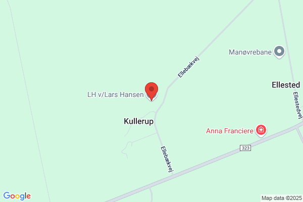Hansen, Asger