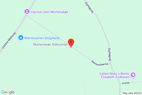 Tømrer & Snedkerfirmaet