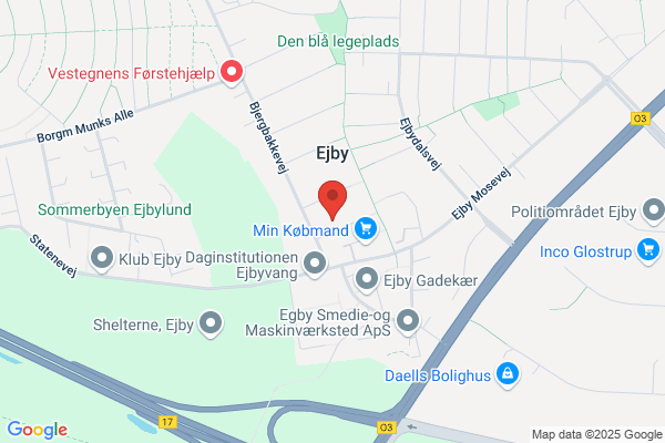 Bjergbakken, Grundejerforeningen