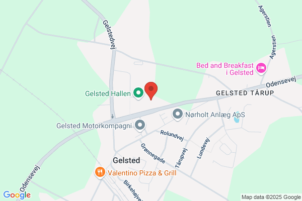 Gelsted Gymnastik- og Idrætsforening