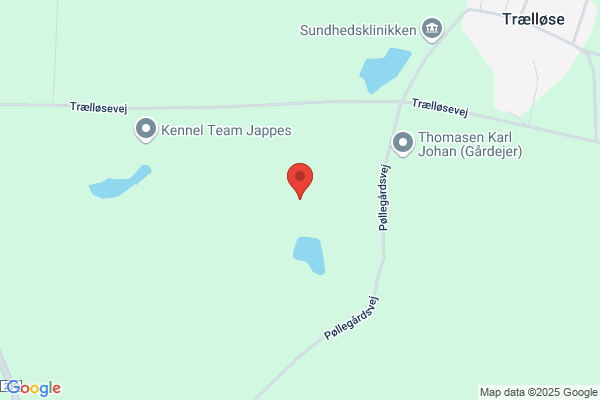 Gelsted Tømrer & Snedker