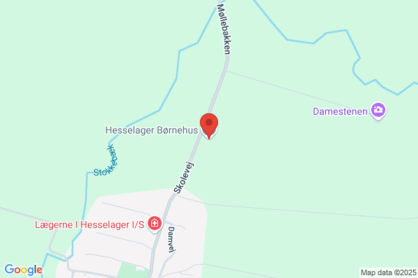 Dagplejeformidlingen