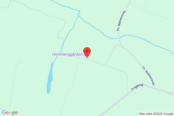 Trige Menighedsråd