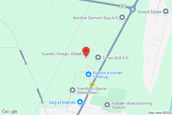 Nielsen Fiskeeksport A/S, Arne