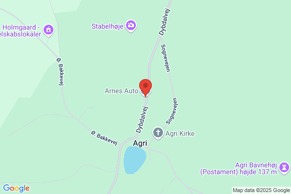 Arne's Auto