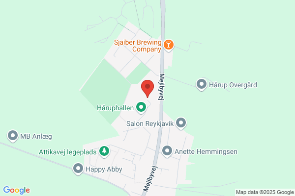 Hårup Skoles Idrætshal