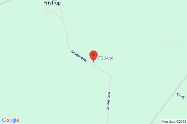 F.S. Auto