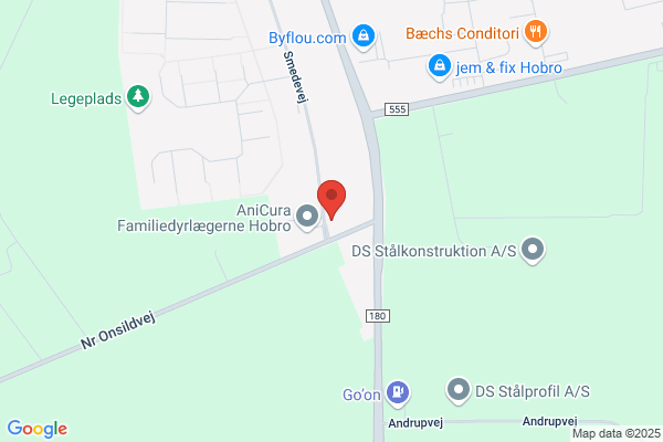 Foreningen Norden