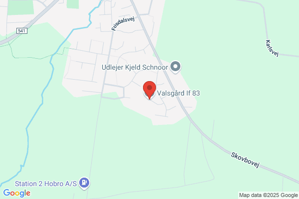 Sønderjydsk Forening