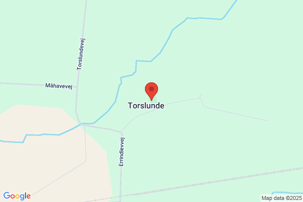 Torslunde Sogns Menighedsråd