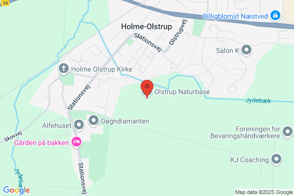 Danmarks Naturfredningsforening