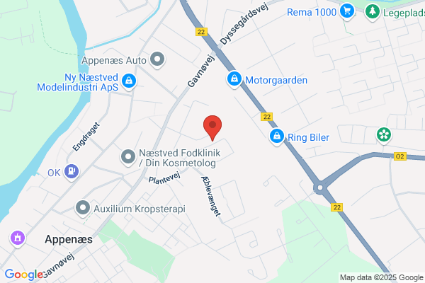 Lille Næstved Idrætsforening