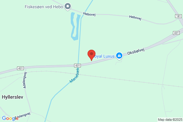Skovly, Salon